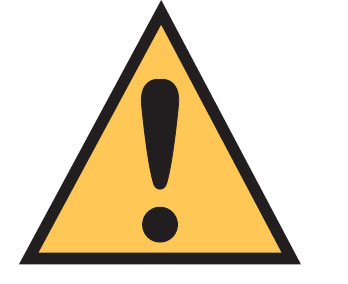 International Labels - Safety Alert Symbol