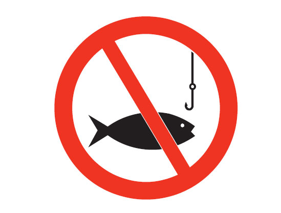 Water Safety Signs - No Fishing Picto