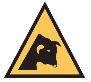 International Labels - Bull Picto