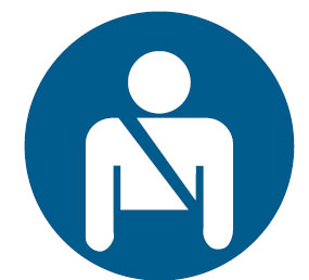 International Pictograms - Wear Seat Belt Picto