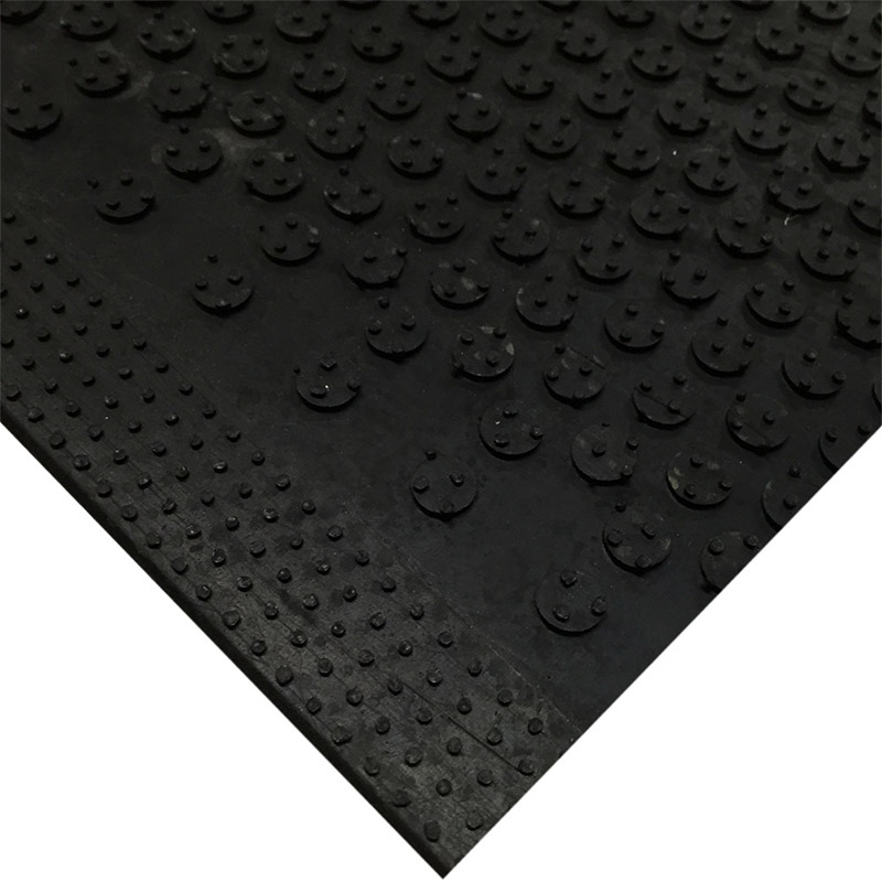 Scraper Mat Anti-Slip 1200 x 1800mm Black