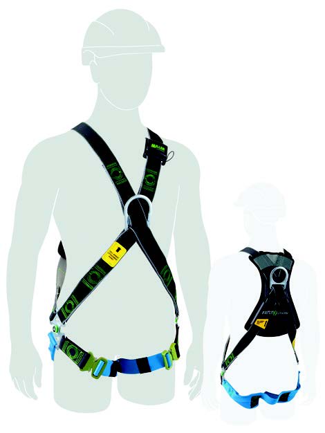 Two Point Harness