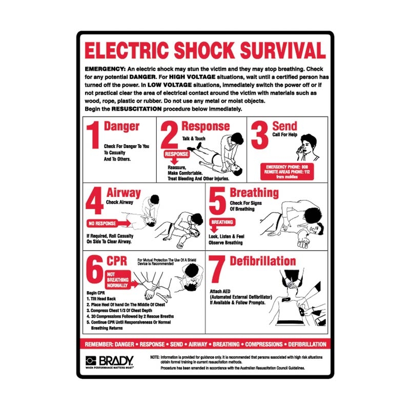 Electric Shock Survival Sign - C2 Reflective Metal